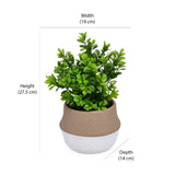 Artificial Syzygium Plant With Cement Pot (Green)