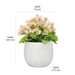 Artificial Gypsophila Plant With Ceramic Pot (Pink)