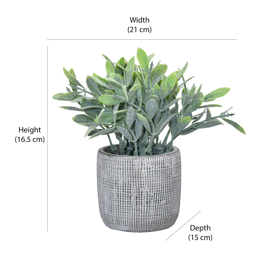 Artificial Bubble Grass Plant With Cement Pot (Green)