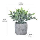 Artificial Bubble Grass Plant With Cement Pot (Green)