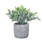 Artificial Bubble Grass Plant With Cement Pot (Green)