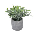 Artificial Bubble Grass Plant With Cement Pot (Green)