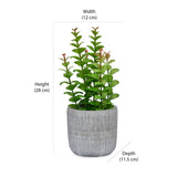 Artificial Apple Leaf Plant With Cement Pot (Green)