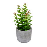 Artificial Apple Leaf Plant With Cement Pot (Green)