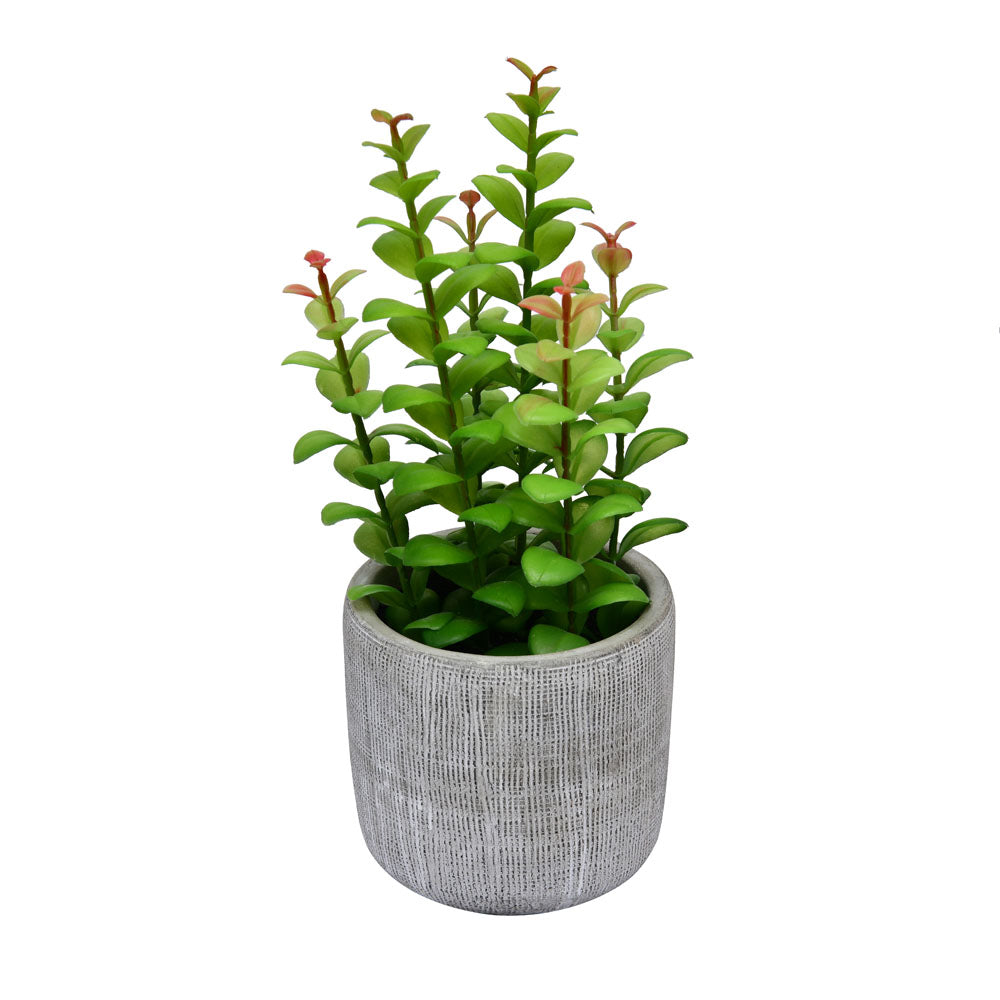 Artificial Apple Leaf Plant With Cement Pot (Green)