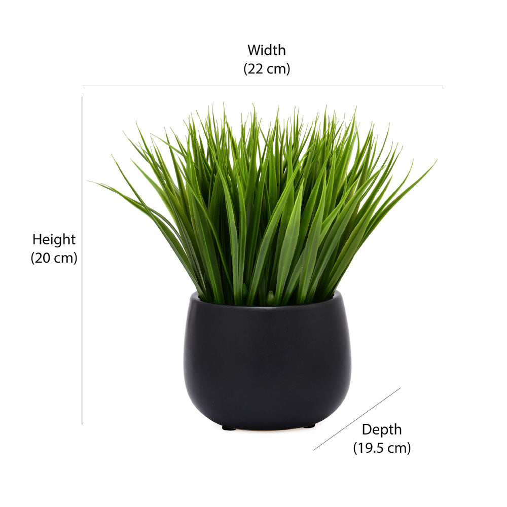 Artificial Grass With Ceramic Pot (Green)