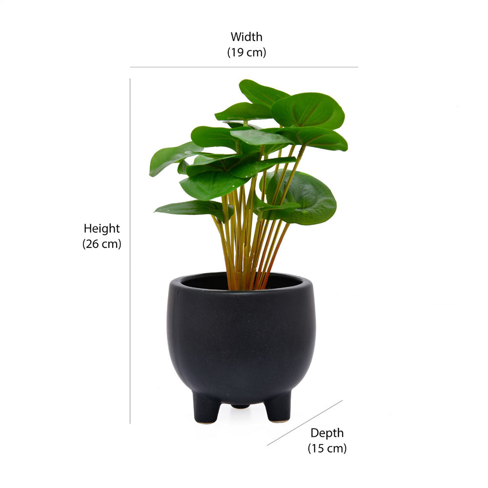 Artificial Pilea Plant With Ceramic Pot (Green)