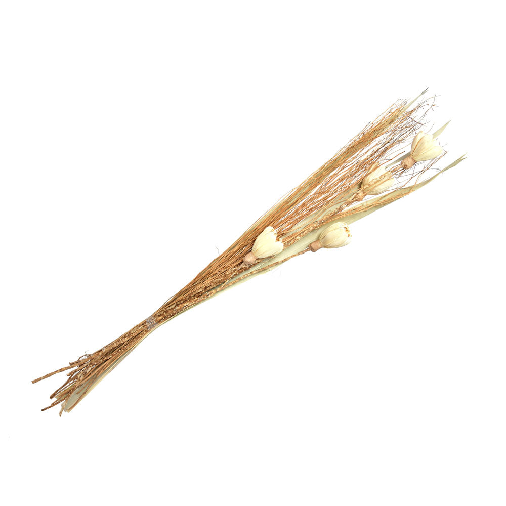 Decorative Maize Flower Dry Stick (Beige)