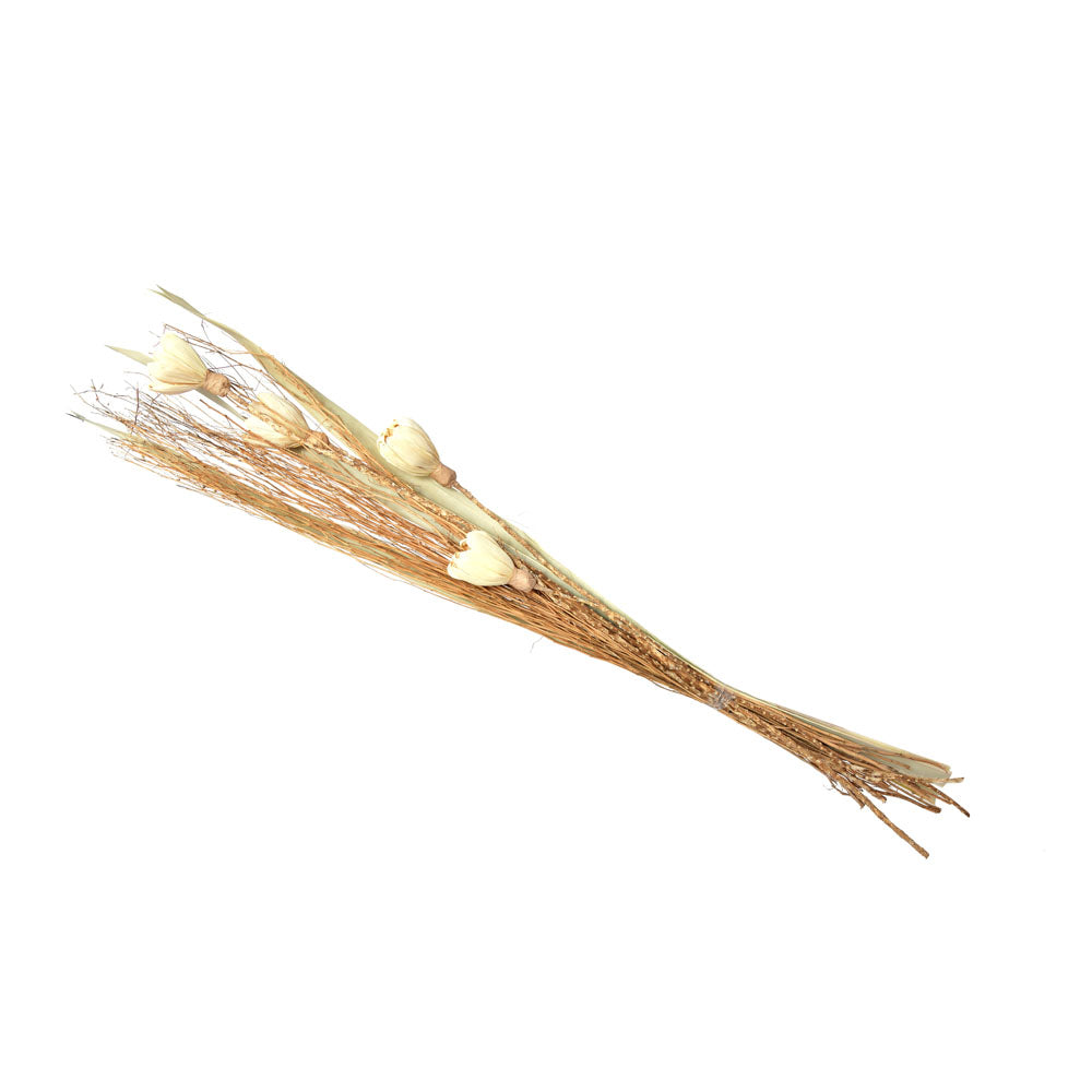 Decorative Maize Flower Dry Stick (Beige)