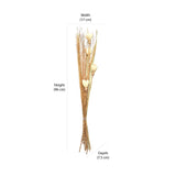 Decorative Maize Flower Dry Stick (Beige)