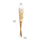 Decorative Maize Flower Dry Stick (Beige)