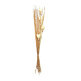 Decorative Maize Flower Dry Stick (Beige)