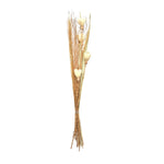 Decorative Maize Flower Dry Stick (Beige)