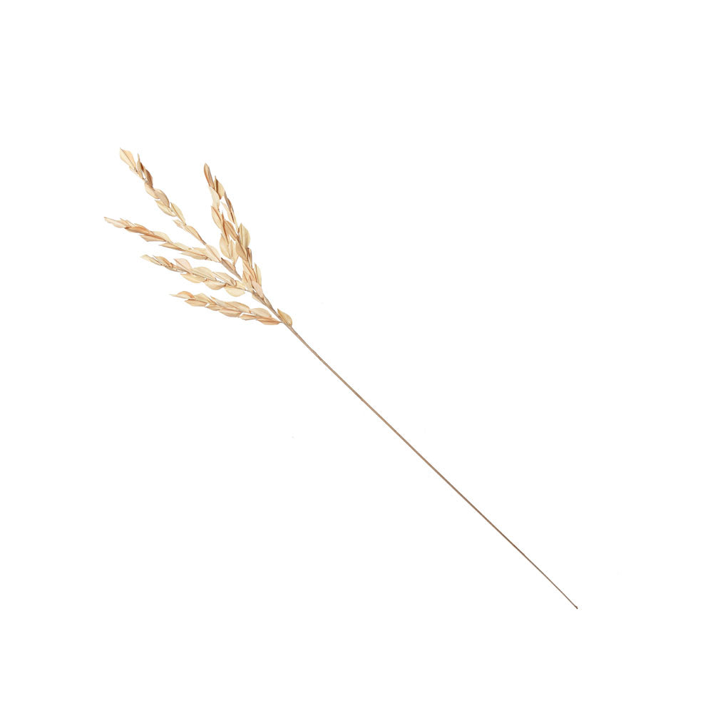 Decorative Mini Dry Leaves Stick (Cream)