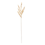 Decorative Mini Dry Leaves Stick (Cream)