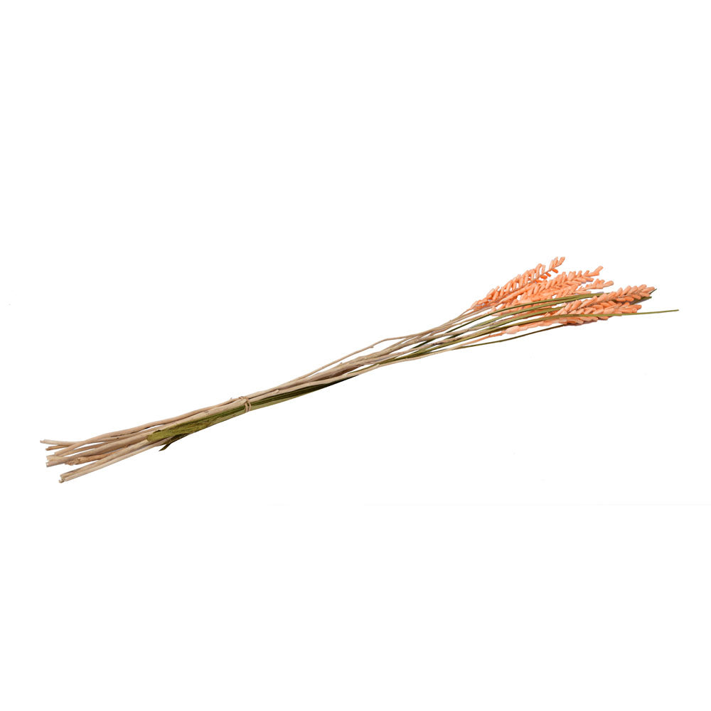 Decorative Sola Flowers Dry Stick (Peach)