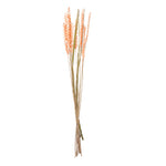 Decorative Sola Flowers Dry Stick (Peach)