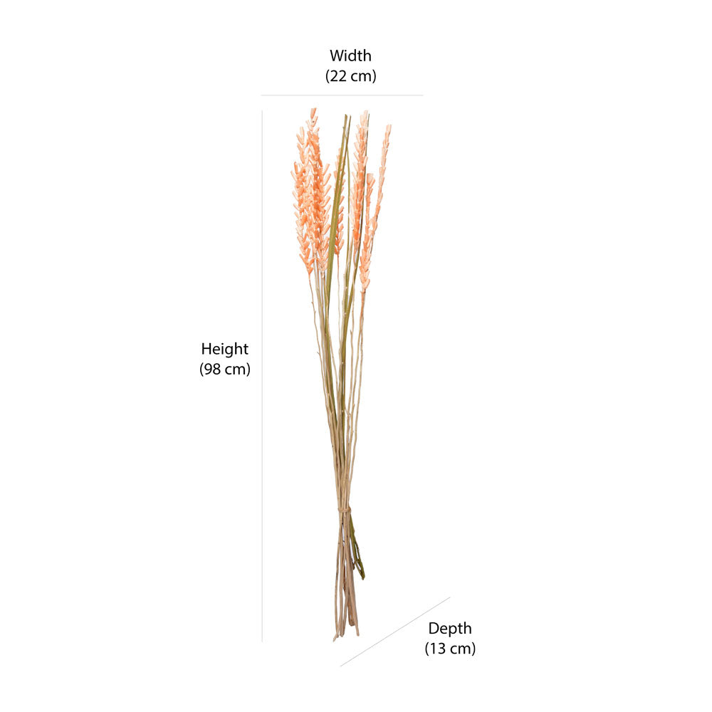 Decorative Sola Flowers Dry Stick (Peach)