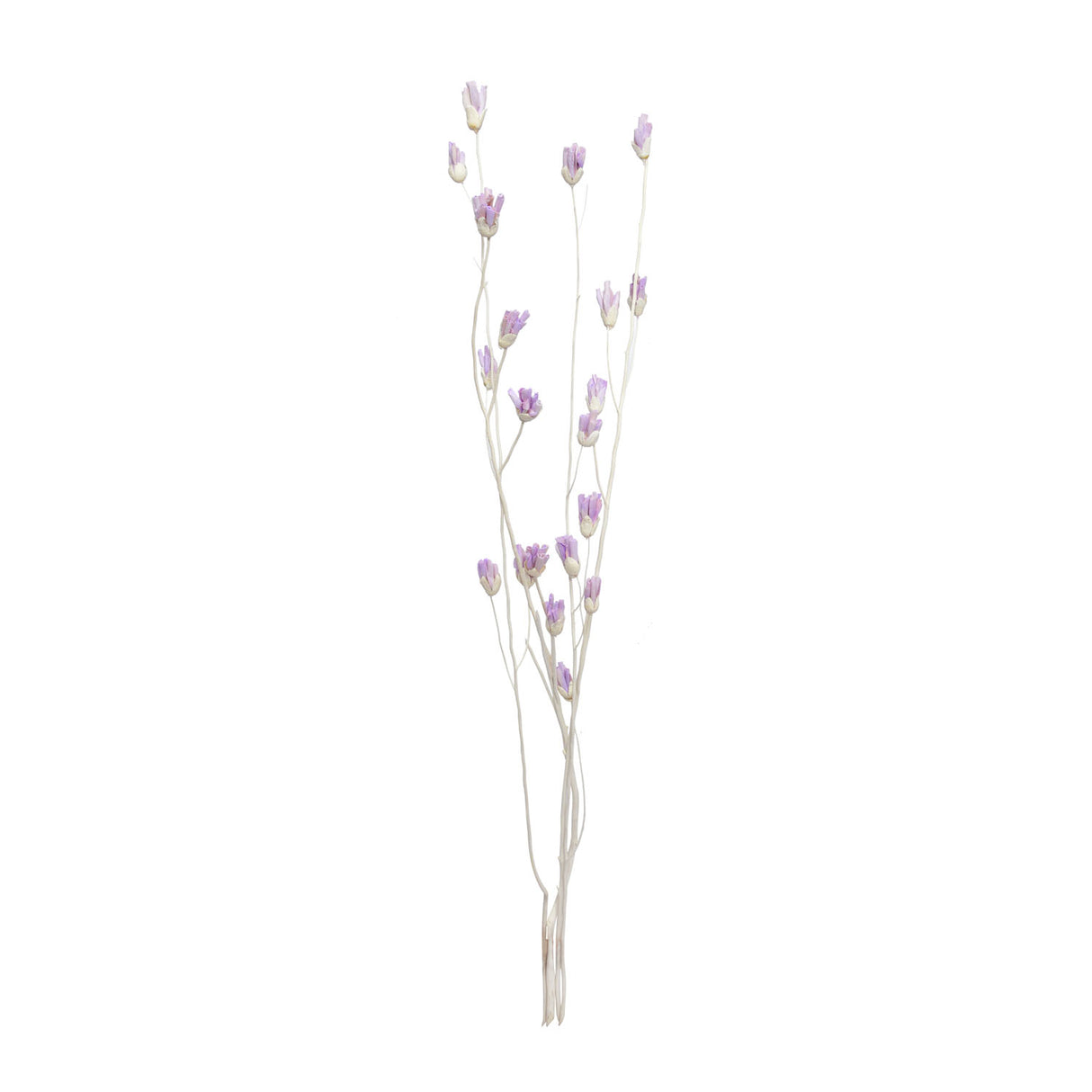 Decorative Sola Flowers Dry Stick (Lilac)