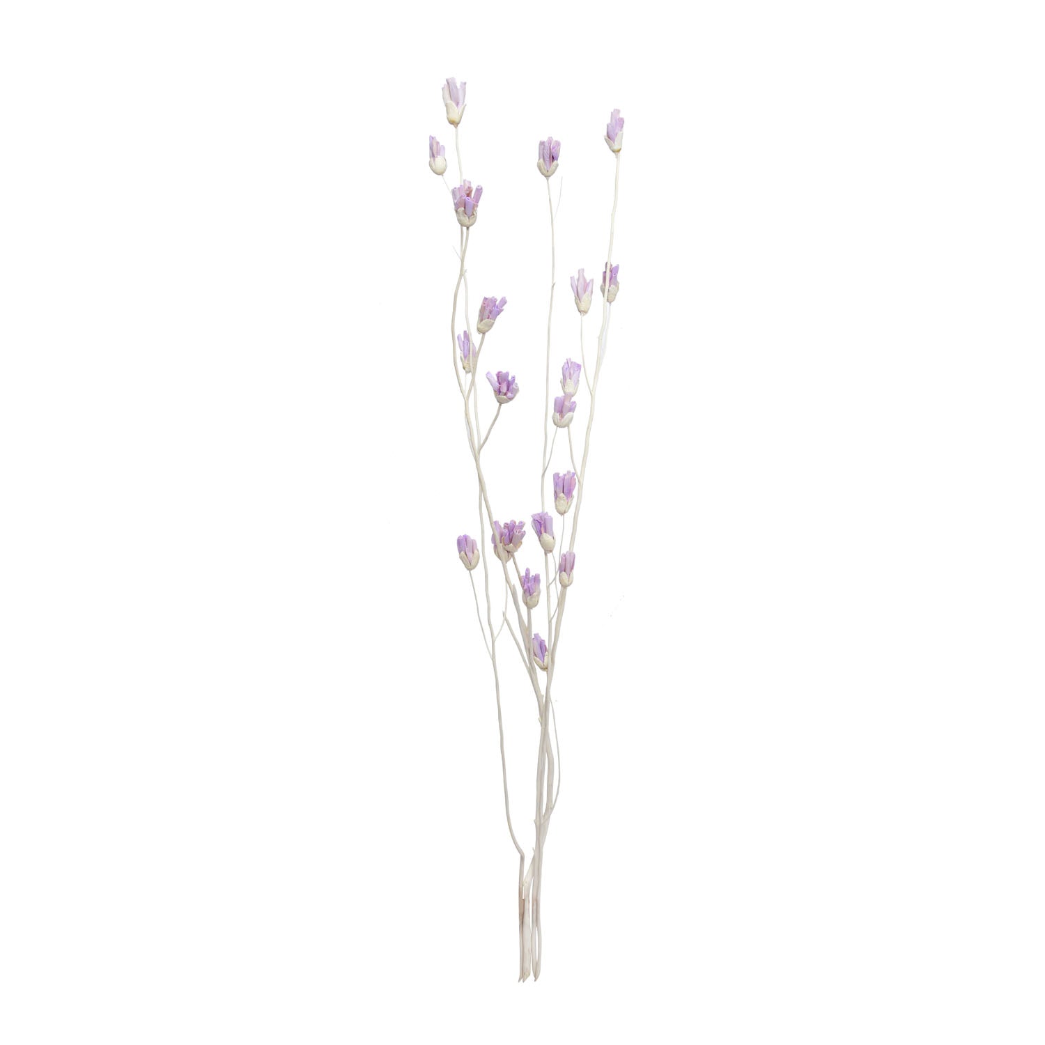 Decorative Sola Flowers Dry Stick (Lilac)