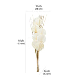 Decorative Palm Leaves Dry Stick (Cream)