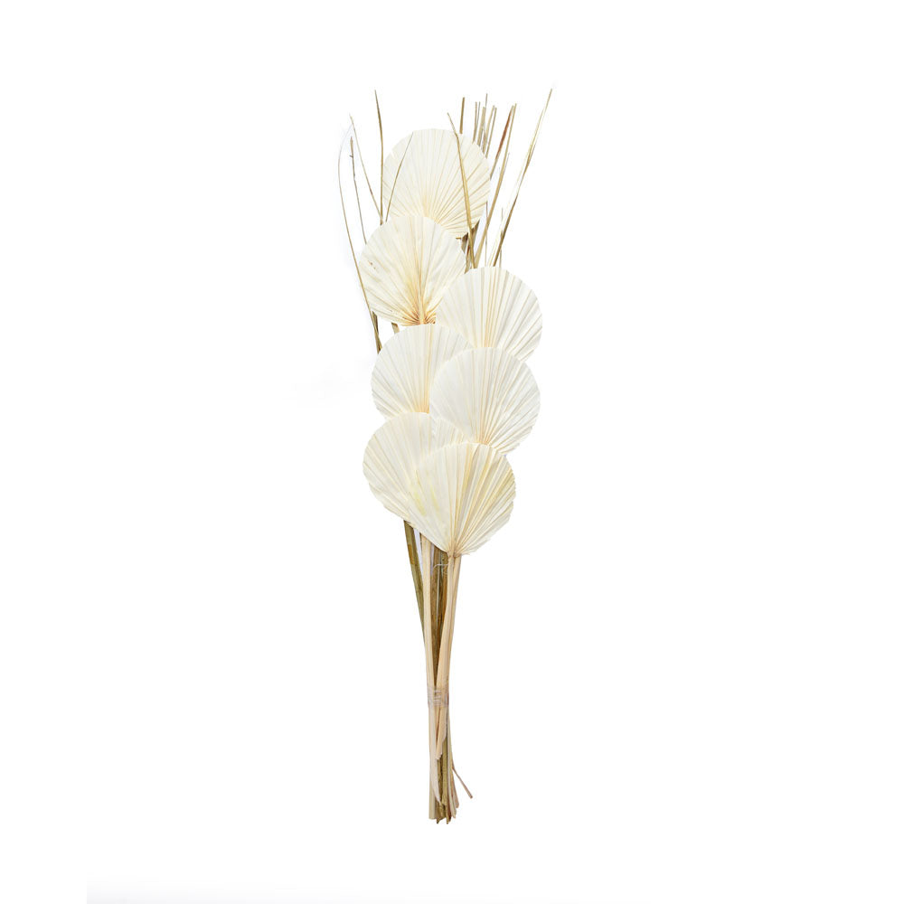 Nilkamal Decorative Palm Leaves Dry Stick (Cream)