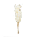 Decorative Palm Leaves Dry Stick (Cream)