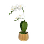 Artificial Orchid Plant With Pot (White)