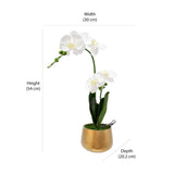 Artificial Orchid Plant With Pot (White)