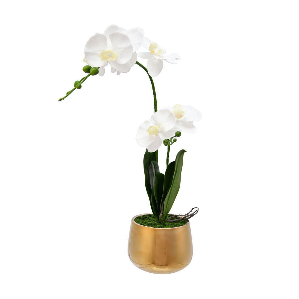 Artificial Orchid Plant With Pot (White)