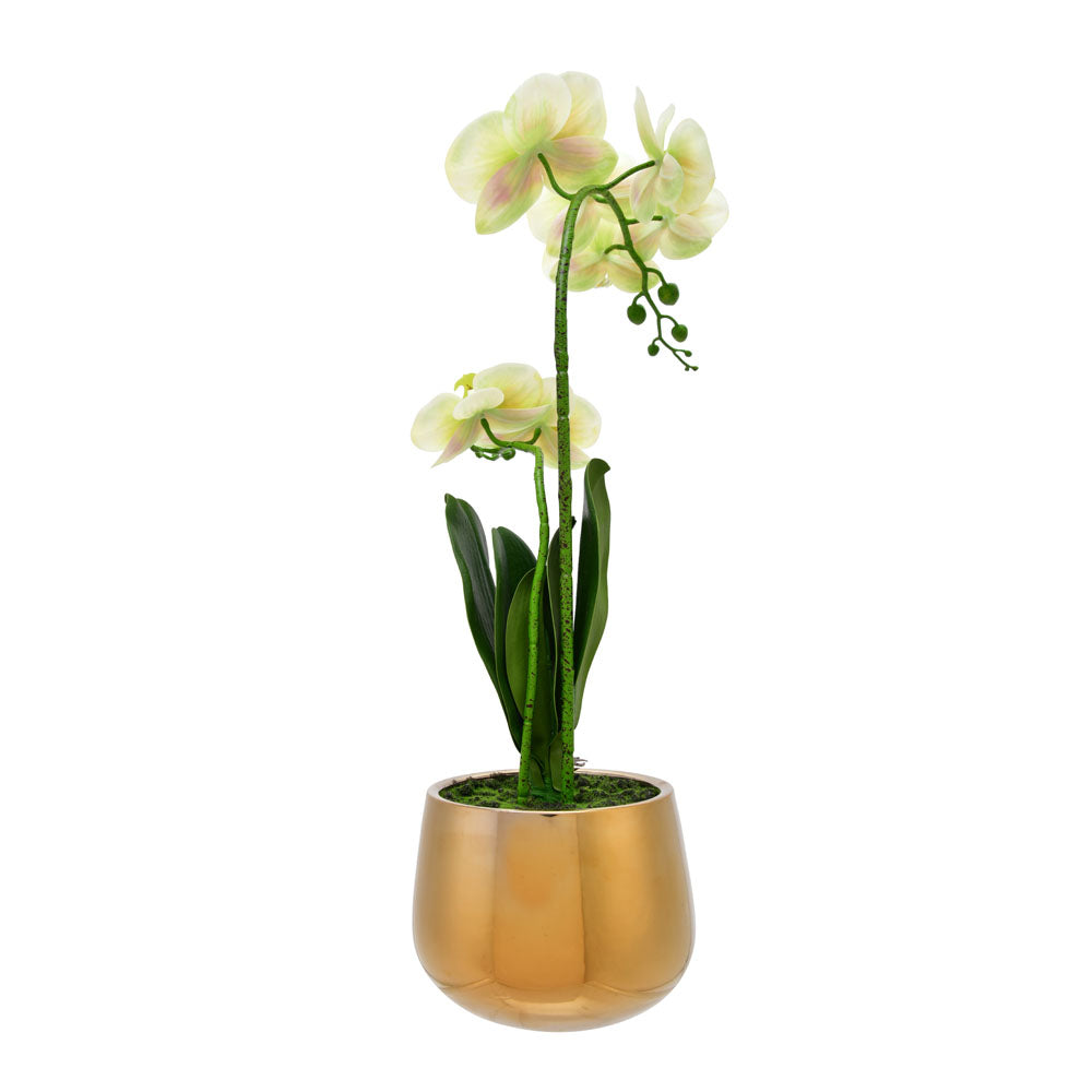 Artificial Orchid Plant With Pot (Yellow)