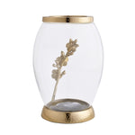 Decorative Glass & Metal Oval Vase (Small, Transparent & Gold)