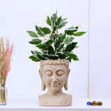 Buddha Bust Polyresin Planter (Sand)