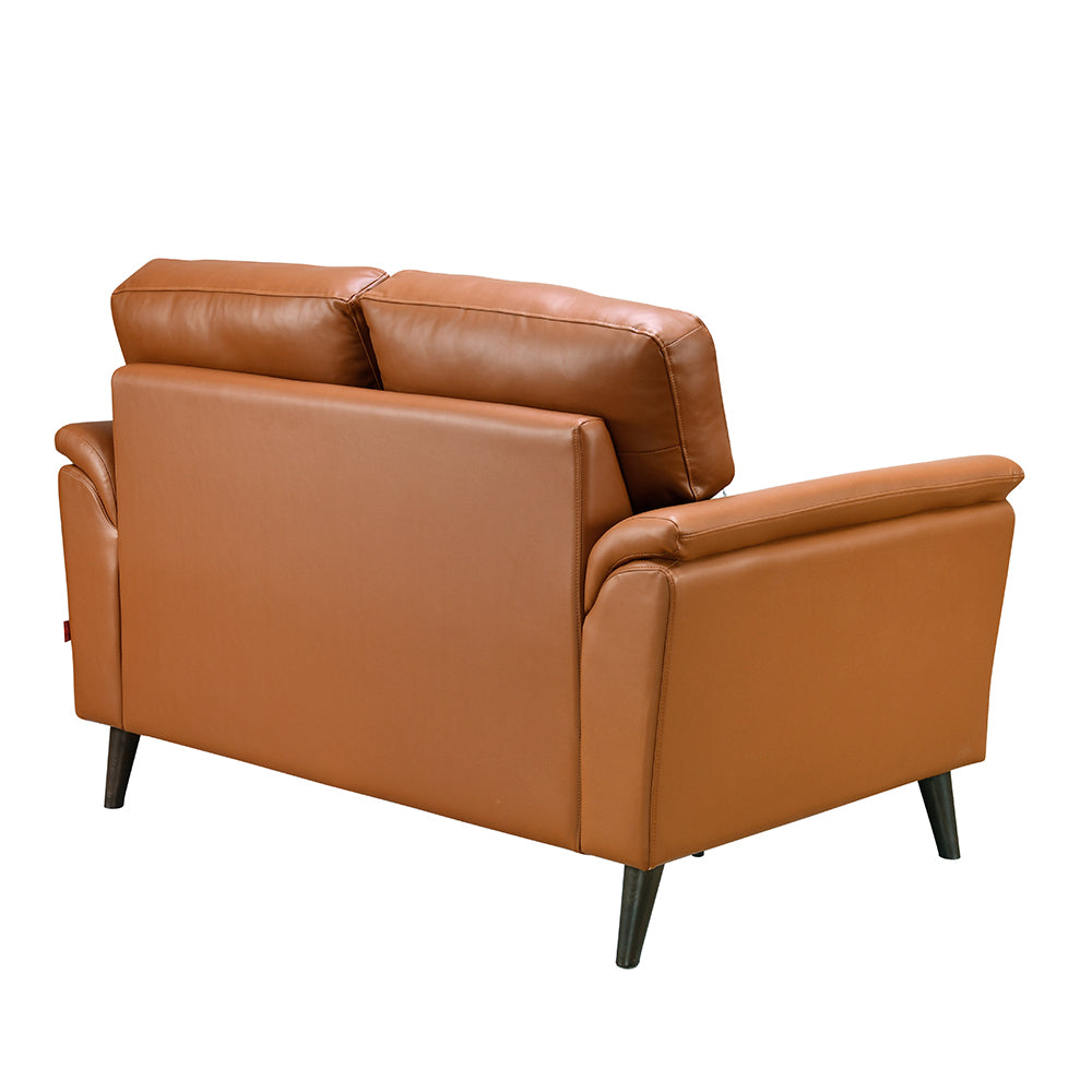 Aiden 2 Seater Sofa (Tan)