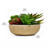 Artificial Succulent Plant With Round Pot (Green)