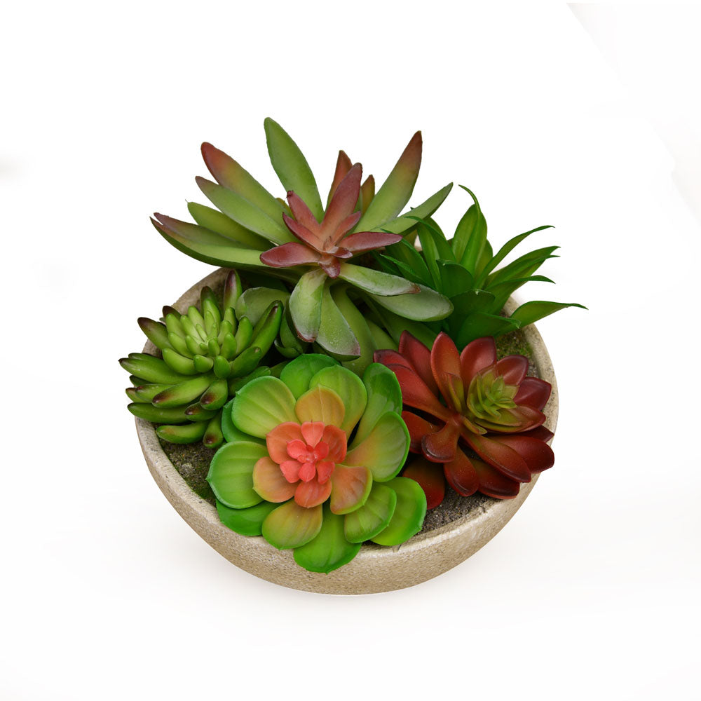 Artificial Succulent Plant With Round Pot (Green)