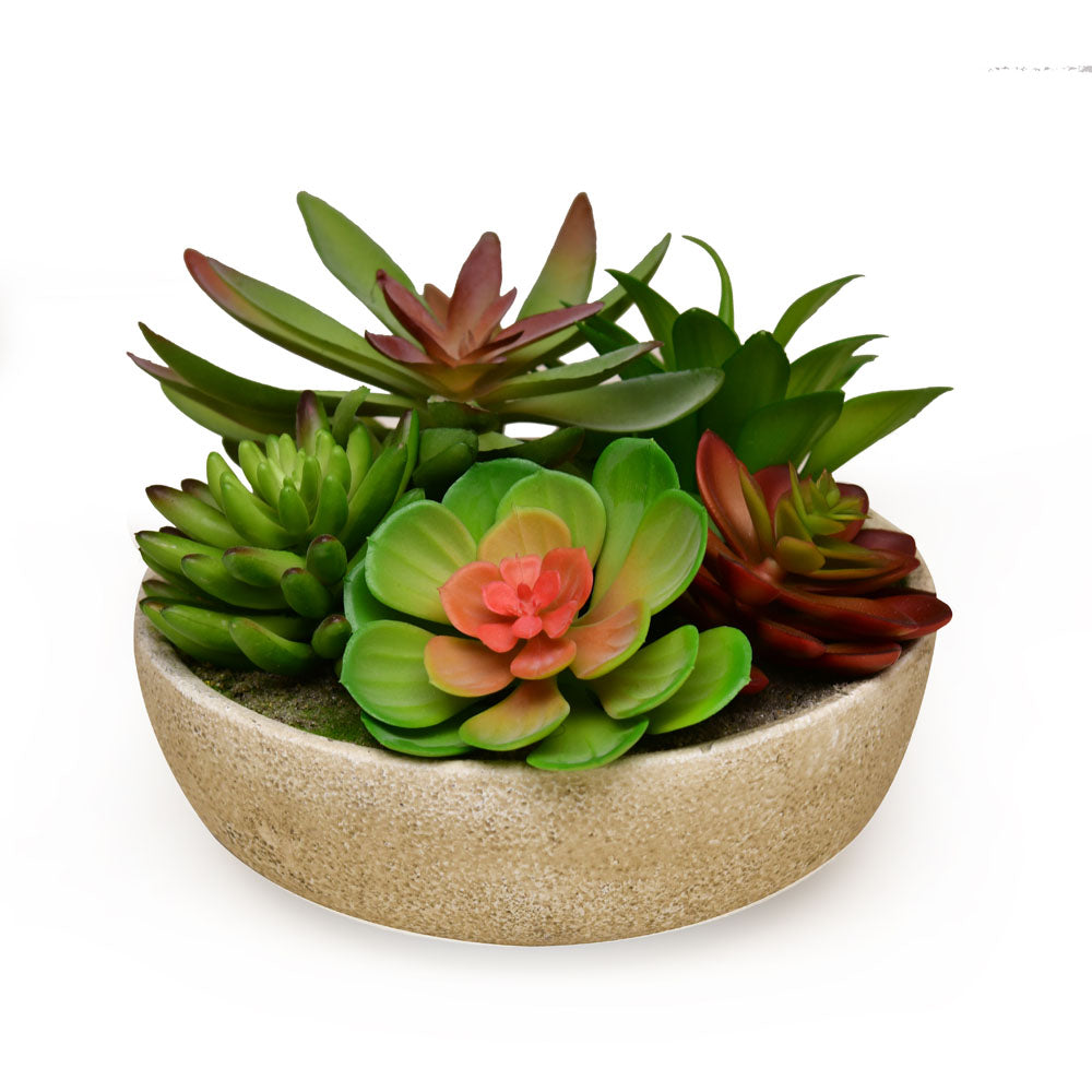 Artificial Succulent Plant With Round Pot (Green)