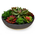 Artificial Succulent Plant With Round Pot (Green)