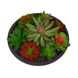 Artificial Succulent Plant With Round Pot (Green)