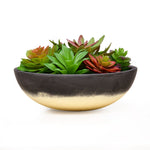 Artificial Succulent Plant With Round Pot (Green)