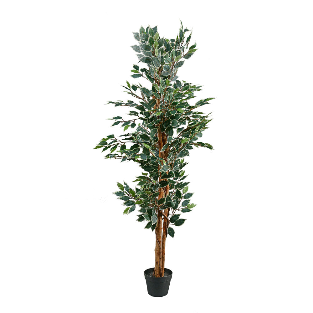 Artificial Ficus Tree With Pot (Green)