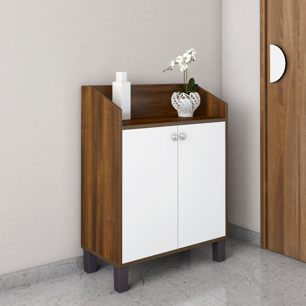 Aze Engineered Wood Shoe Cabinet (Walnut & White)