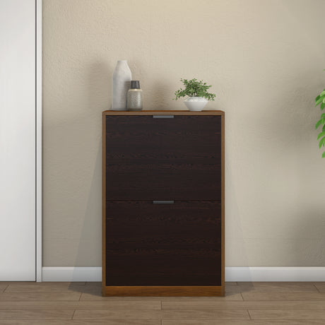 Florine Engineered Wood 2 Tier Shoe Cabinet (Walnut & Wenge)