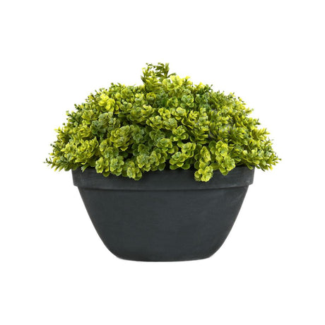 Boxwood Round Potted Plant (Green)