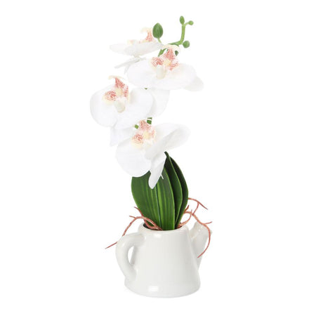 Orchid Teapot Potted Plant (White)