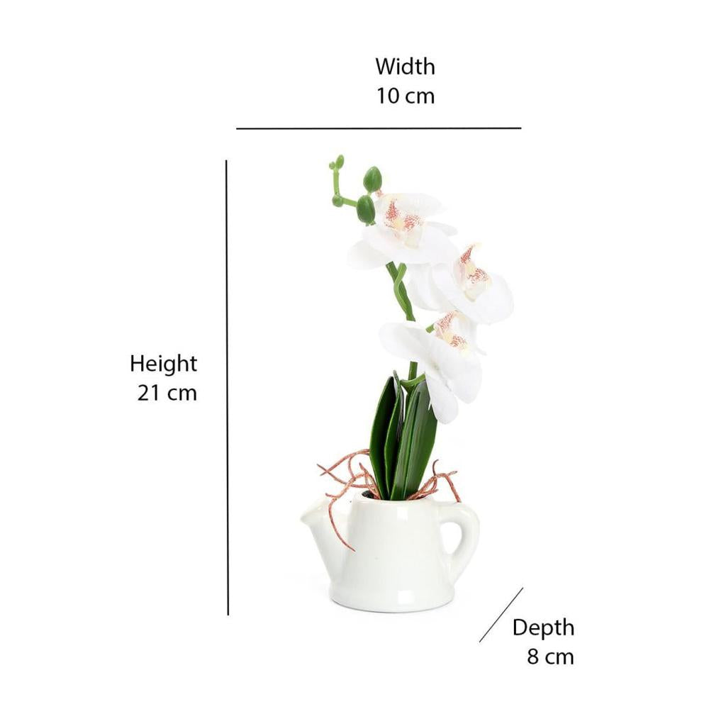 Orchid Teapot Potted Plant (White)