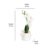 Orchid Teapot Potted Plant (White)