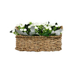 Rose Buds Basket Potted Plant (White)