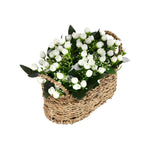 Rose Buds Basket Potted Plant (White)