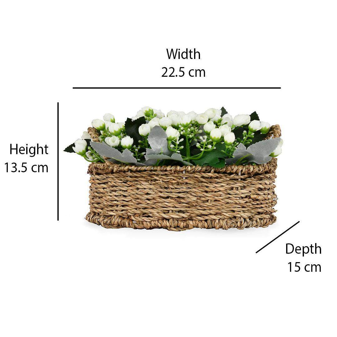 Rose Buds Basket Potted Plant (White)